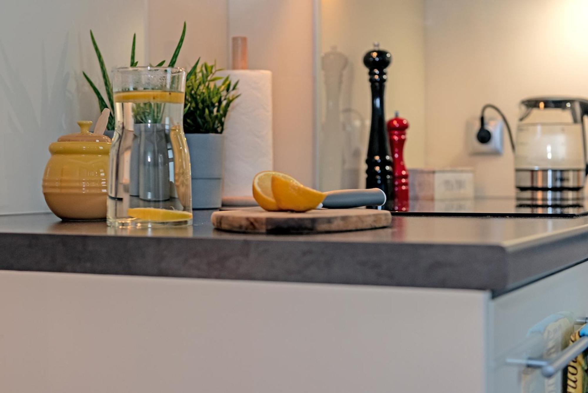 3D Wygoda Apartamenty Krakow Oda fotoğraf