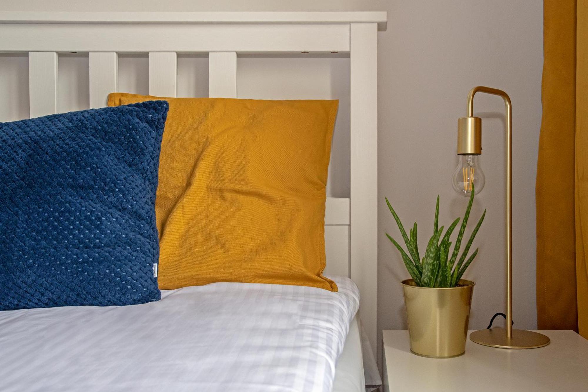 3D Wygoda Apartamenty Krakow Oda fotoğraf