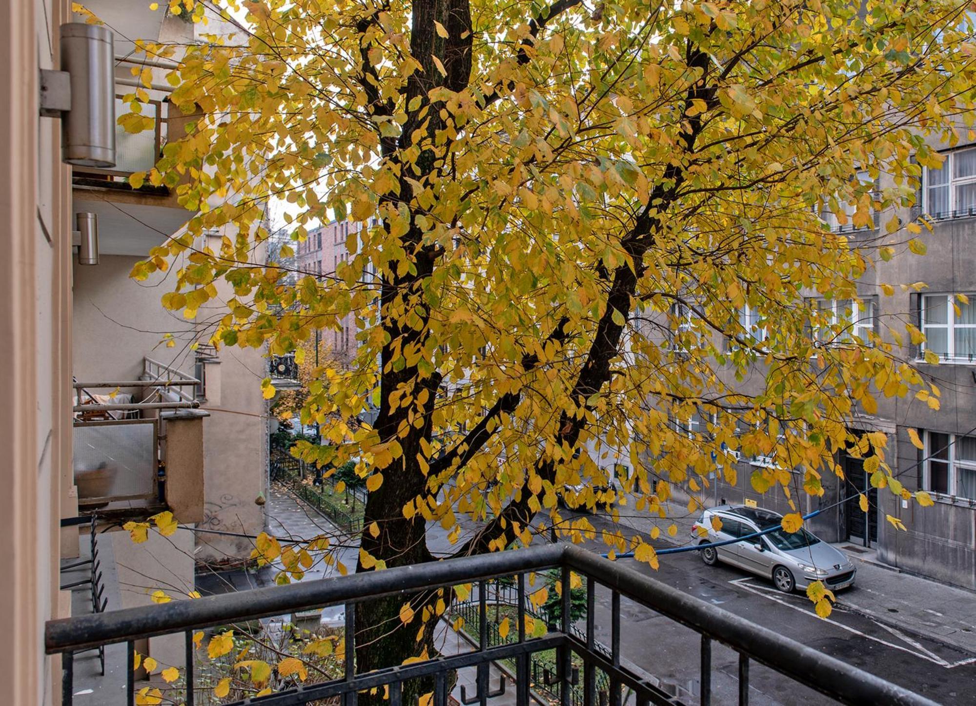 3D Wygoda Apartamenty Krakow Oda fotoğraf